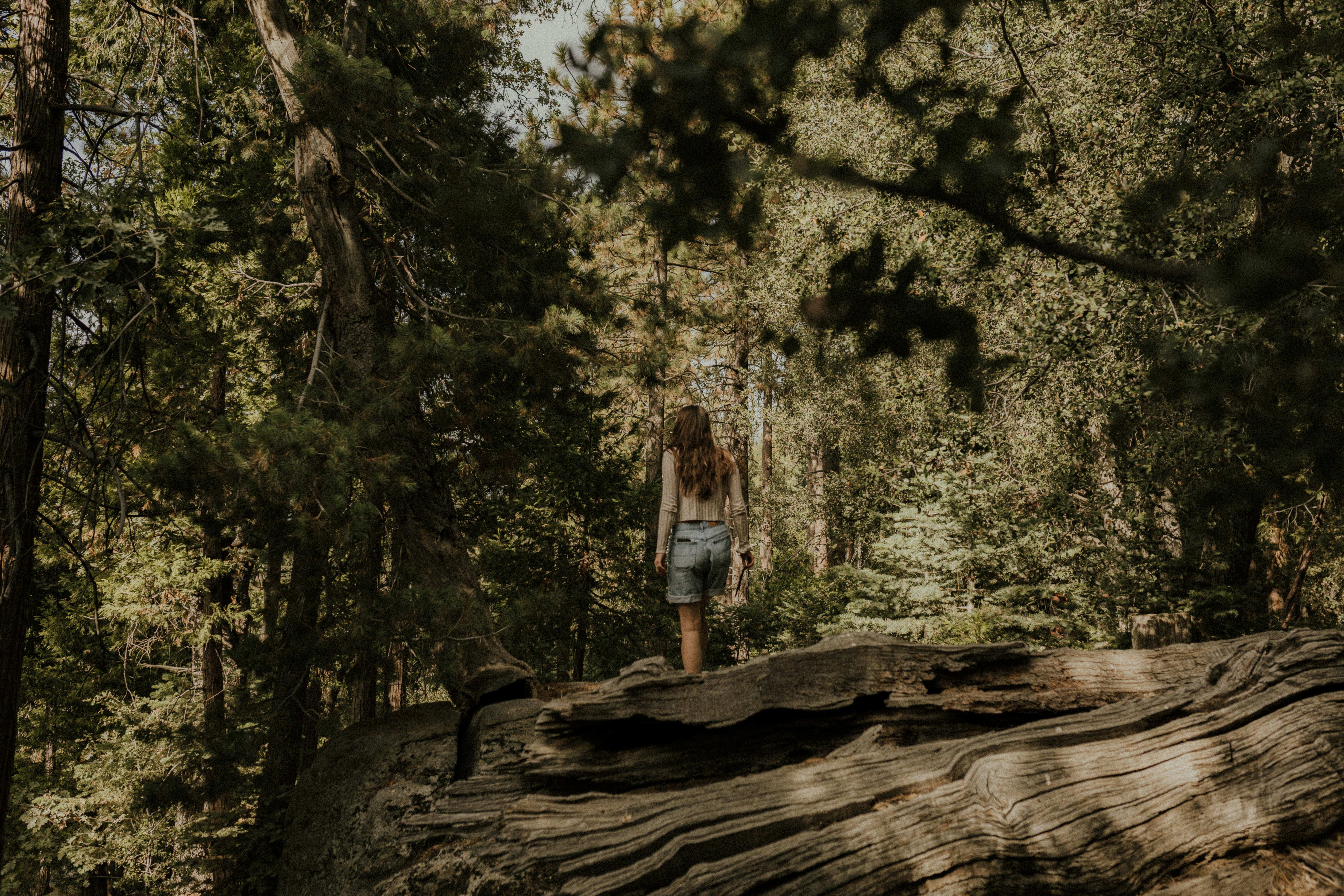 woman in white shirt and blue denim jeans standing on brown tree log during daytime